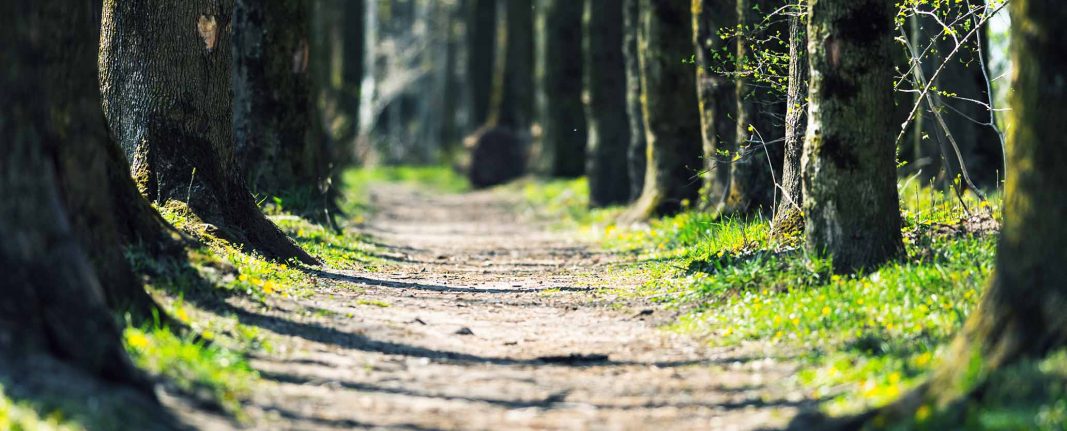 YA BİR YOL BULMAK YA DA BİR YOL AÇMAK